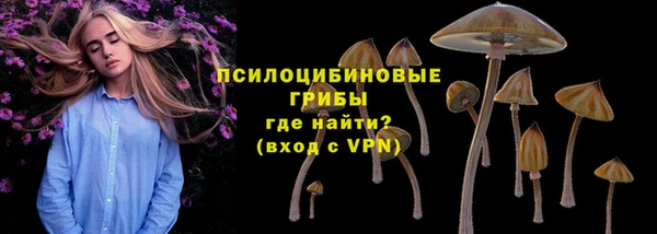 дмт Вяземский