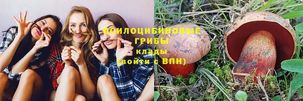 ГАЛЛЮЦИНОГЕННЫЕ ГРИБЫ Гусиноозёрск