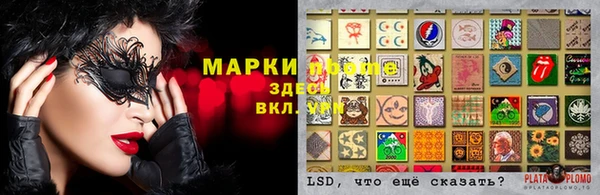сатива Вязьма