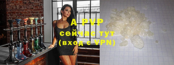 дмт Вяземский