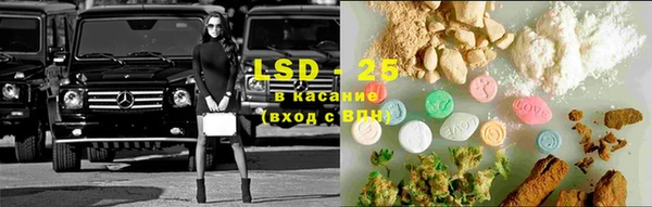 дмт Вяземский