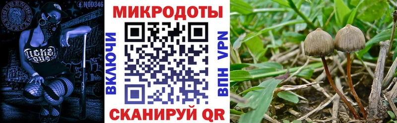 Галлюциногенные грибы прущие грибы Знаменск