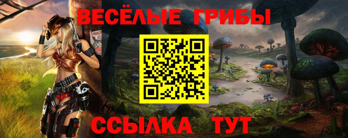 Знаменск  Псилоцибиновые грибы прущие грибы  Вход с VPN 