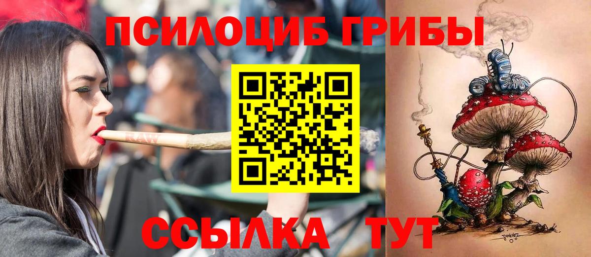 Галлюциногенные грибы Psilocybine cubensis Знаменск