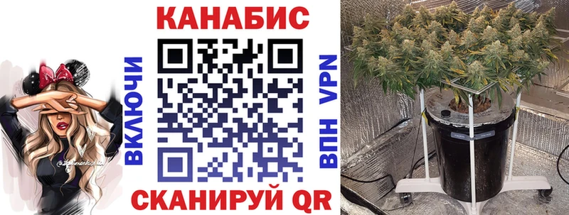 Бошки марихуана SATIVA & INDICA  сайты даркнета клад  Знаменск  закладки  кракен ссылки 